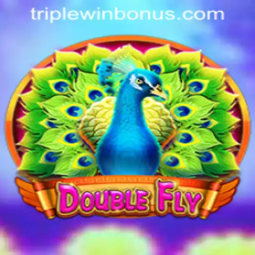 Exploring the World of DoubleFly: Unveiling the TRIPLEWIN BONUS
